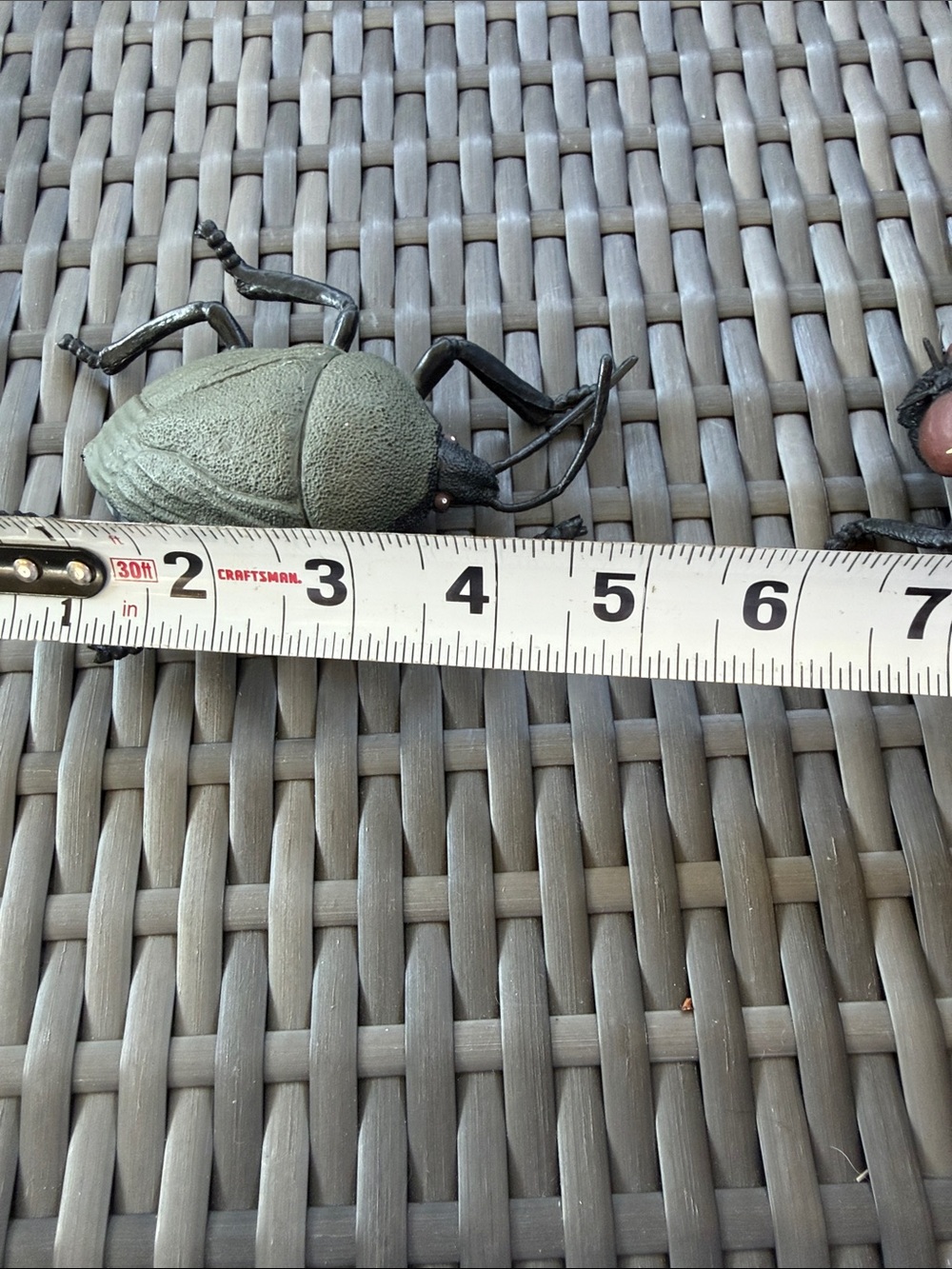 Assorted large  Toy Insects - Multicolor Pack - Picture 7 of 7